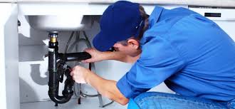 Best Gas Line Installation and Repair  in Forest Oaks, NC